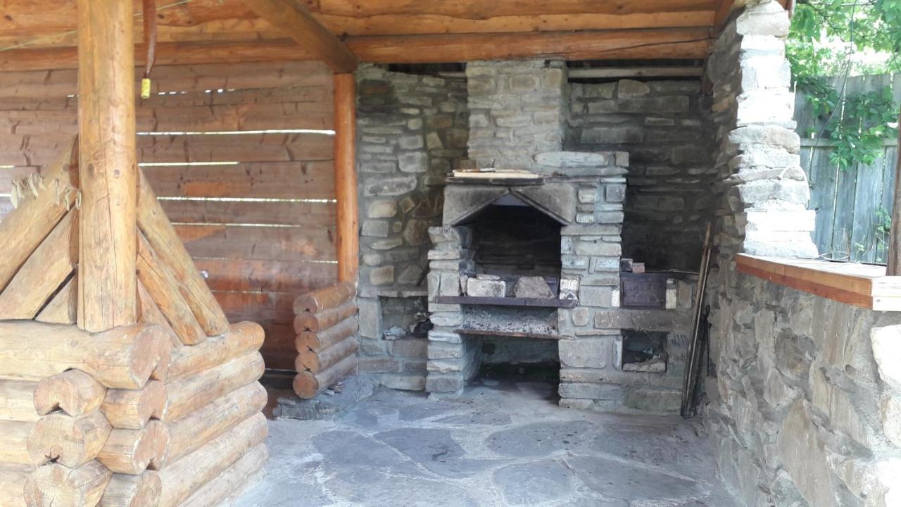 "Бджілка" І " Садиба Для Відпочинку" Lyuta Exterior photo