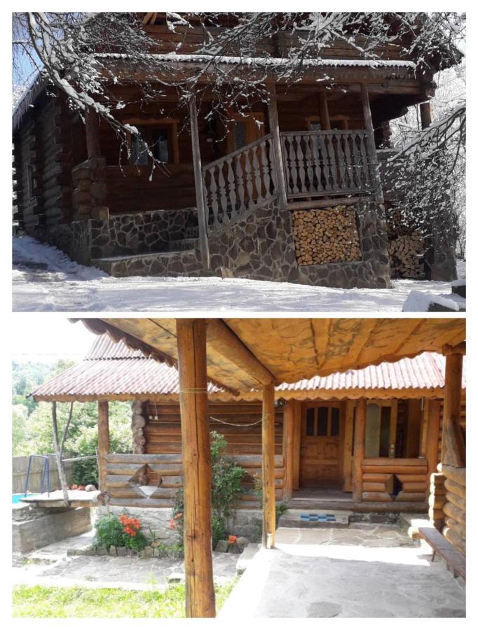 "Бджілка" І " Садиба Для Відпочинку" Lyuta Exterior photo